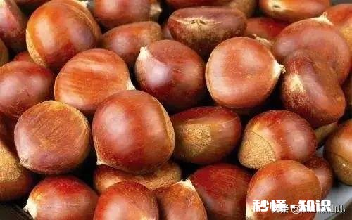 出门在外，你会想家么