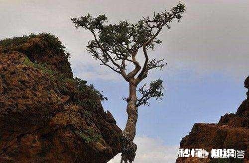 一个男人怎样才能完完全全地把自己自卑懦弱的性格改变