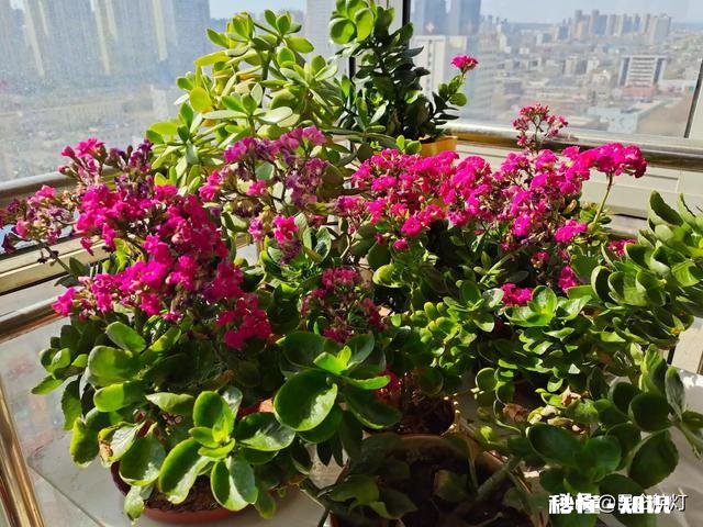 2020年郑州房企优惠众多，你觉得现在买是否划算