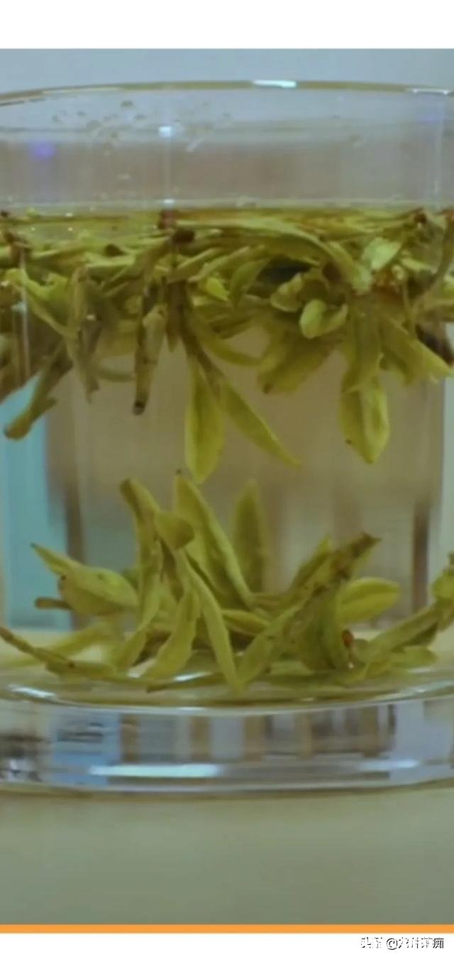 我国哪个朝代的茶叶发展最鼎盛