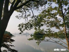 今年新冠病毒疫情给你带来最大的影响是什么如消费和存钱理念！