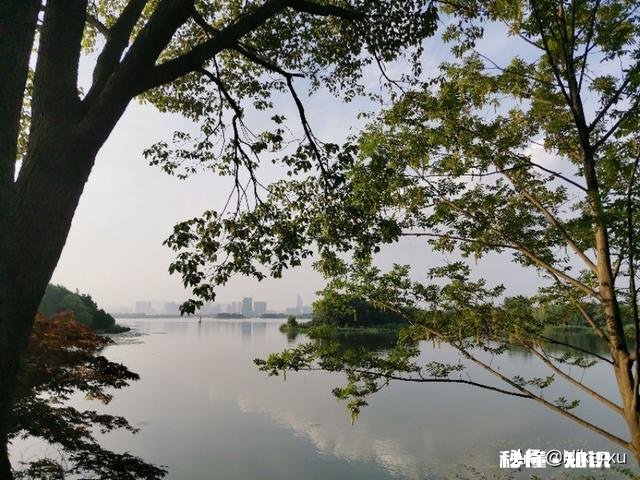 今年新冠病毒疫情给你带来最大的影响是什么如消费和存钱理念！