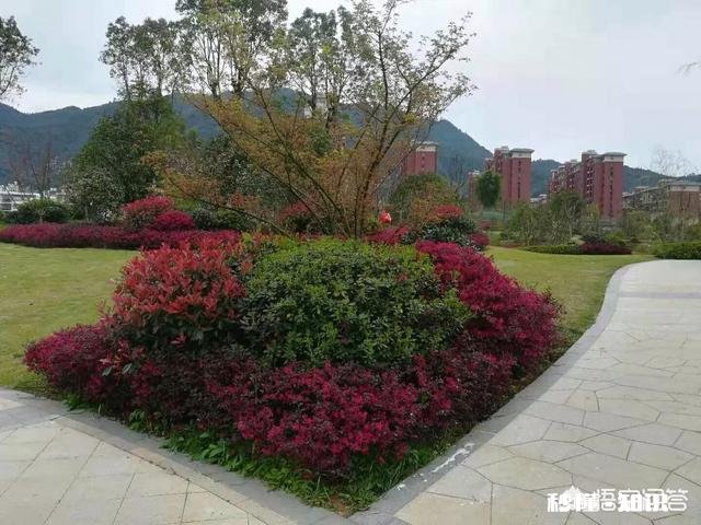 阳光明媚的季节，你有哪些拍花拍草的好方法可否分享一下下