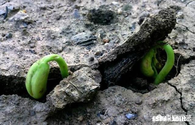 当职业发展遇到瓶颈期的时候，该如何处理呢