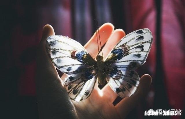 当职业发展遇到瓶颈期的时候，该如何处理呢