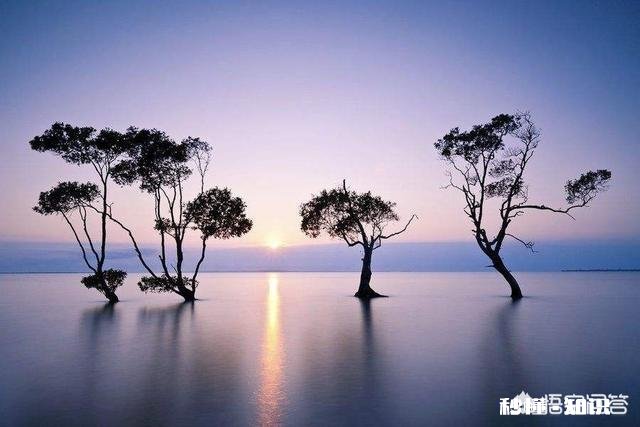 当职业发展遇到瓶颈期的时候，该如何处理呢