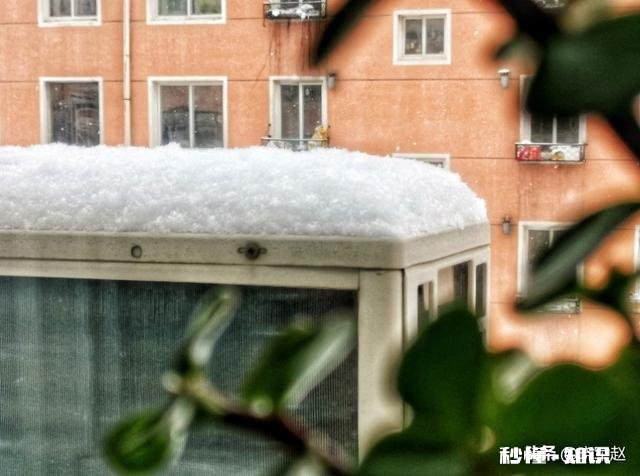 在家不出门如何拍摄富含诗意的摄影作品