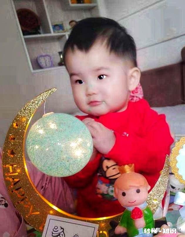 在家不出门如何拍摄富含诗意的摄影作品