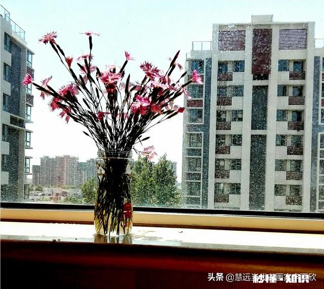 在家不出门如何拍摄富含诗意的摄影作品