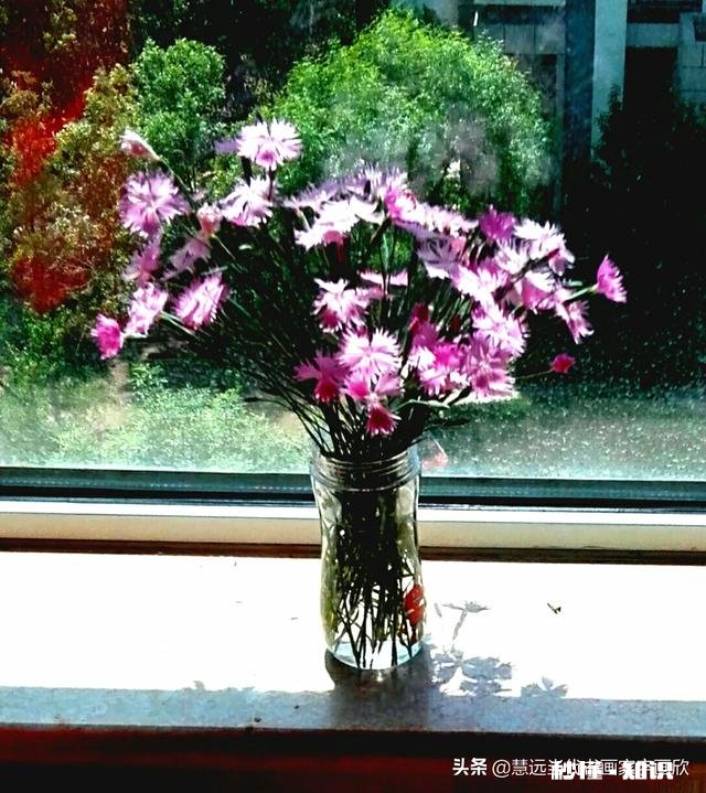 在家不出门如何拍摄富含诗意的摄影作品