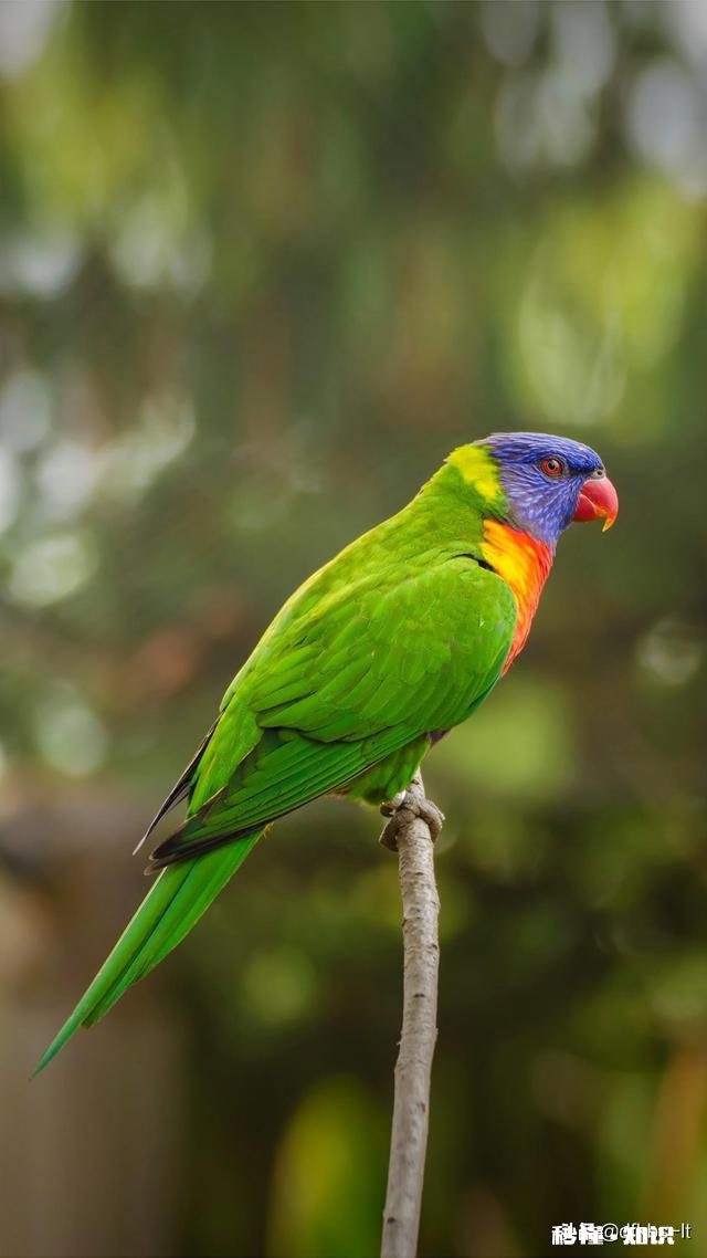 在家不出门如何拍摄富含诗意的摄影作品