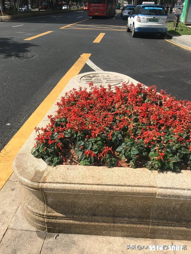 最后打败丰巢的会不会是物业或者业委会