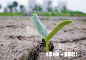 疫情没有影响到哪个行业