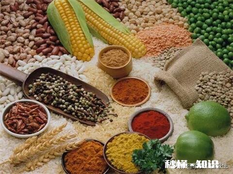 帕金森吃什么食物好