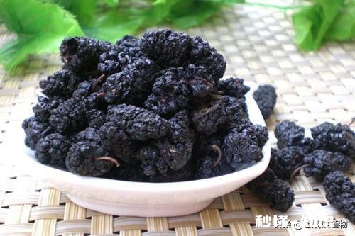 桑葚有什么功能