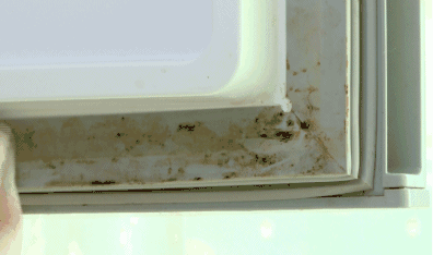 冰箱里的黄色斑点怎么去除