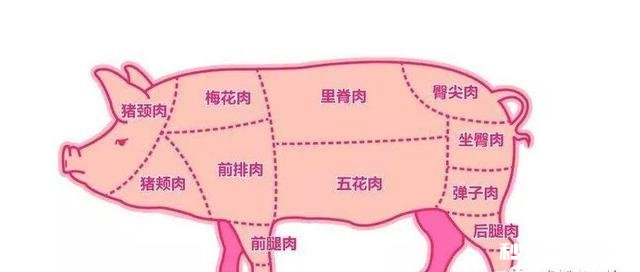 成都买房，成华区和金牛区哪个相对好一点