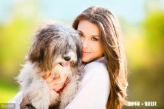 南宁一宠物医院声称花25万元可“克隆”宠物，多数受访者认为花费太高, 你怎么看