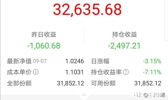 这两天基金一路下滑基民们怎么办
