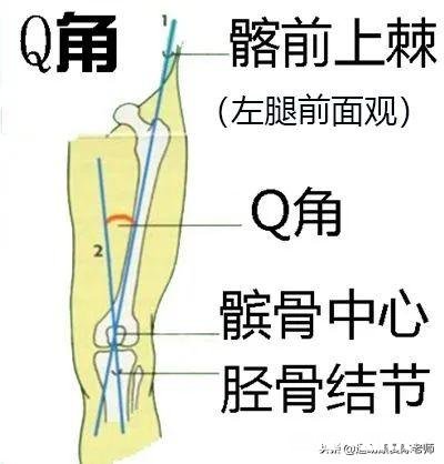 x型腿如何通过运动矫正