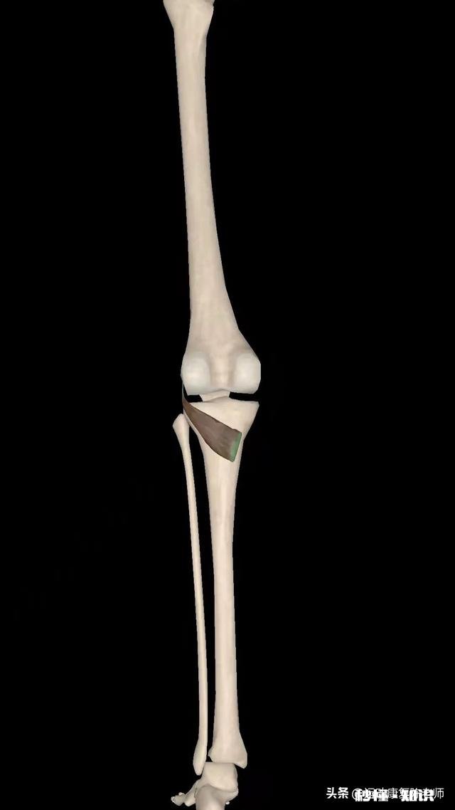 x型腿如何通过运动矫正