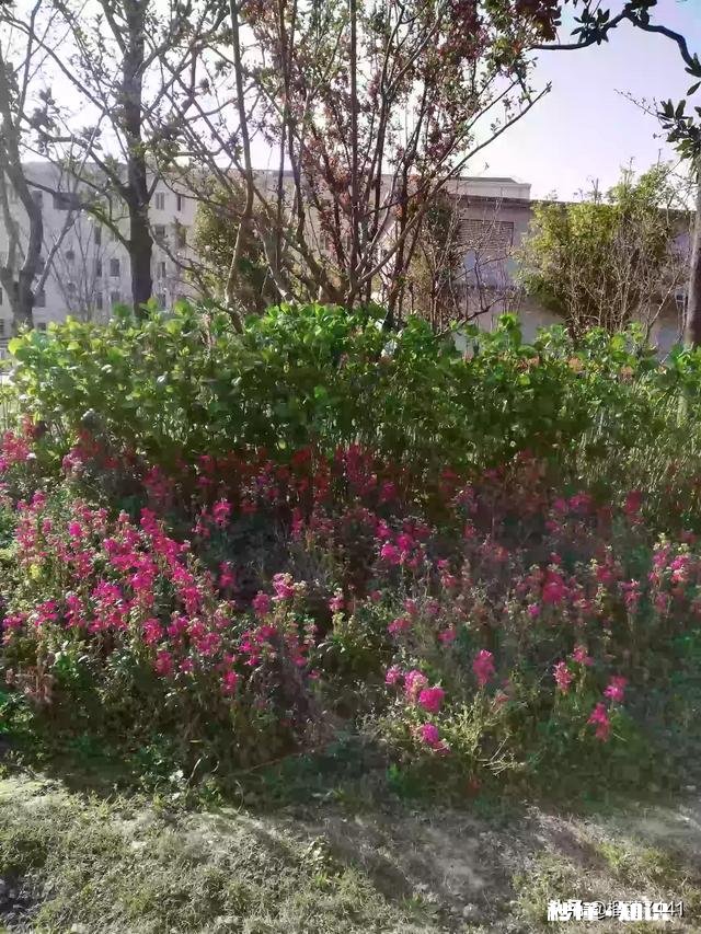 什么水泡脚最好