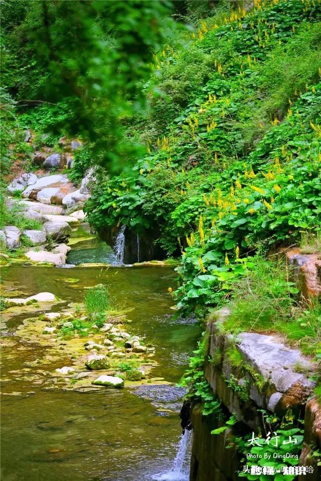 同一地域，为什么感觉农村的气温稍低，而城里的却稍高呢