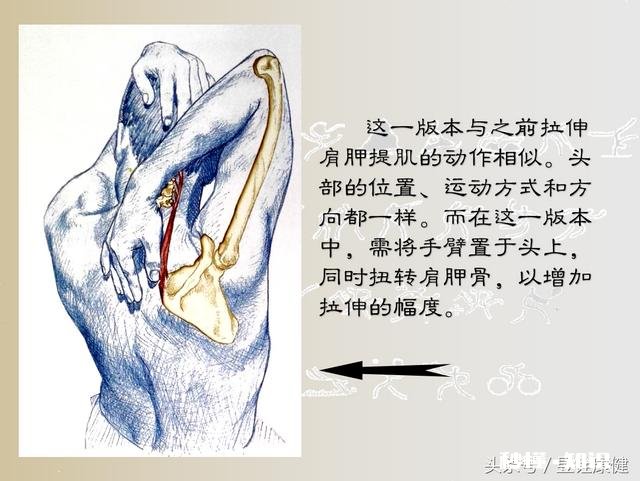 颈部僵硬应该怎么办