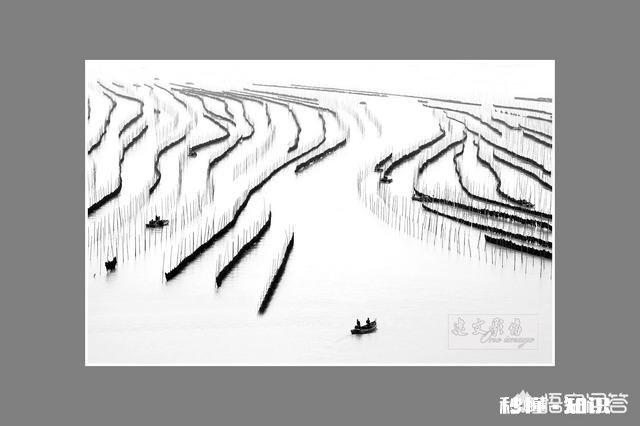 尼康D7000还值得配一个70－200的镜头吗