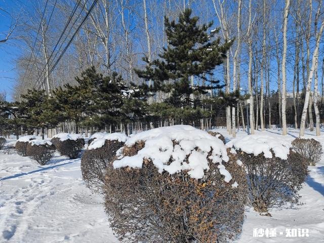 从城市到农村生活创业,最开始最难熬的会是什么