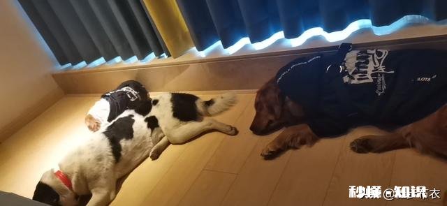 你们喜欢旅游吗都有哪些不高兴的遭遇，分享一下，学习一下经验