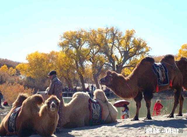 你们喜欢旅游吗都有哪些不高兴的遭遇，分享一下，学习一下经验