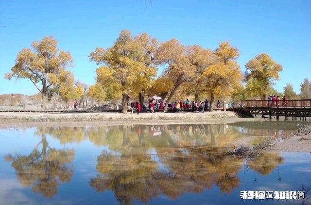 你们喜欢旅游吗都有哪些不高兴的遭遇，分享一下，学习一下经验