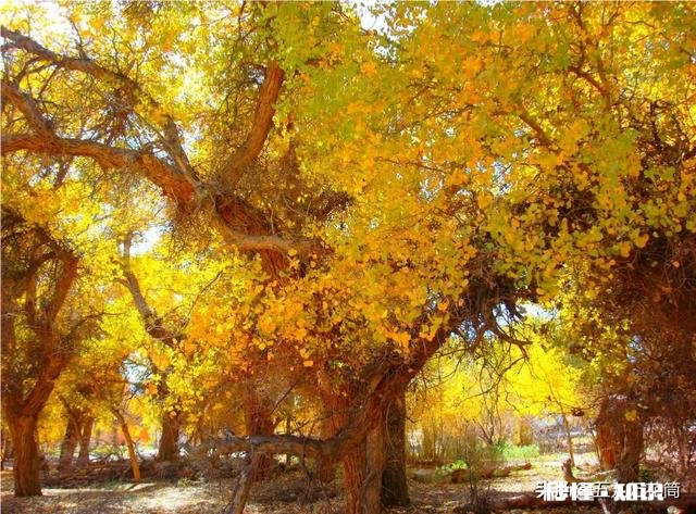 你们喜欢旅游吗都有哪些不高兴的遭遇，分享一下，学习一下经验