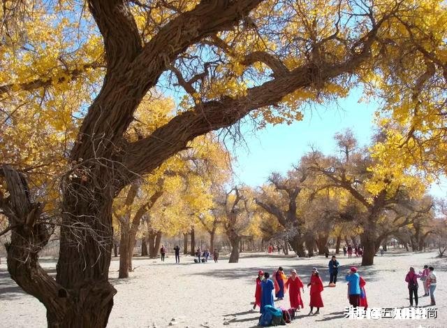 你们喜欢旅游吗都有哪些不高兴的遭遇，分享一下，学习一下经验