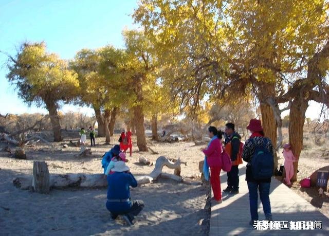 你们喜欢旅游吗都有哪些不高兴的遭遇，分享一下，学习一下经验