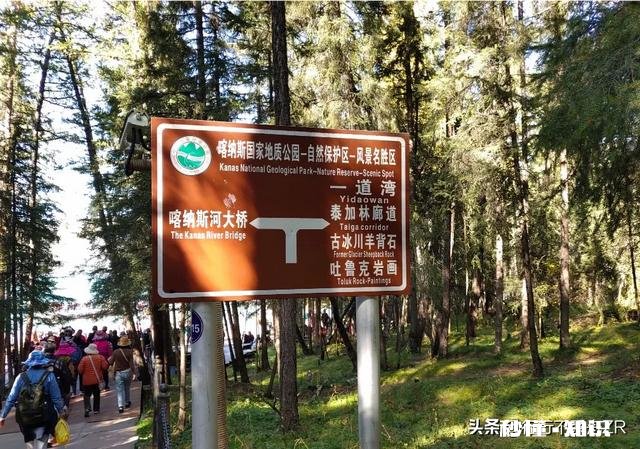 你们喜欢旅游吗都有哪些不高兴的遭遇，分享一下，学习一下经验