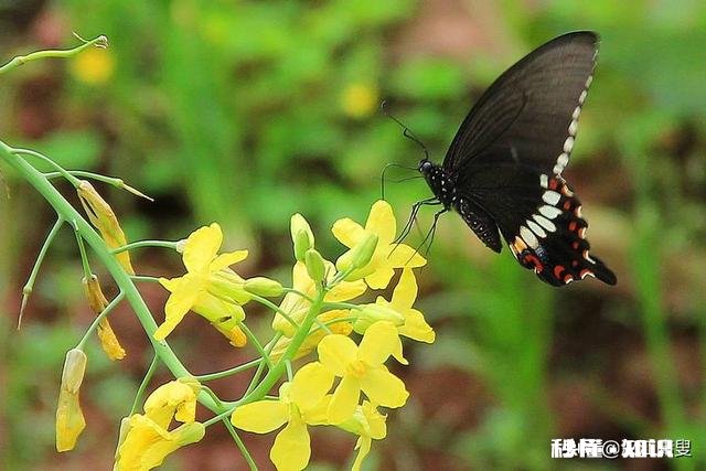 如果谈恋爱不能给你带来快乐，还要继续吗