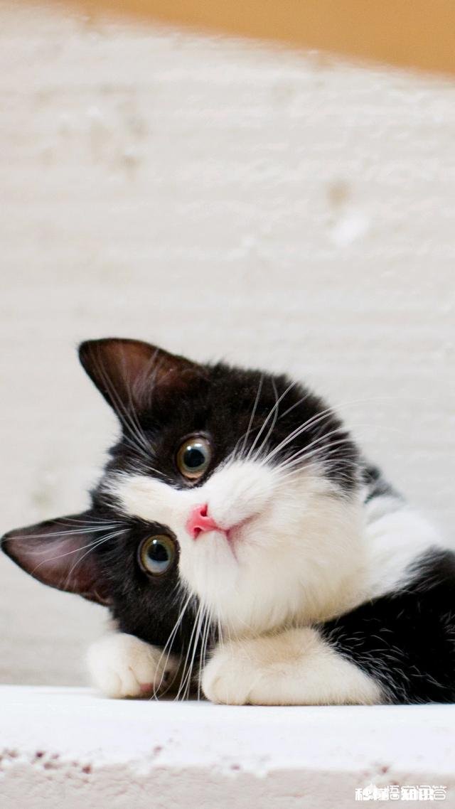 下载同城异性交友软件的人，一般心里的想法都是什么