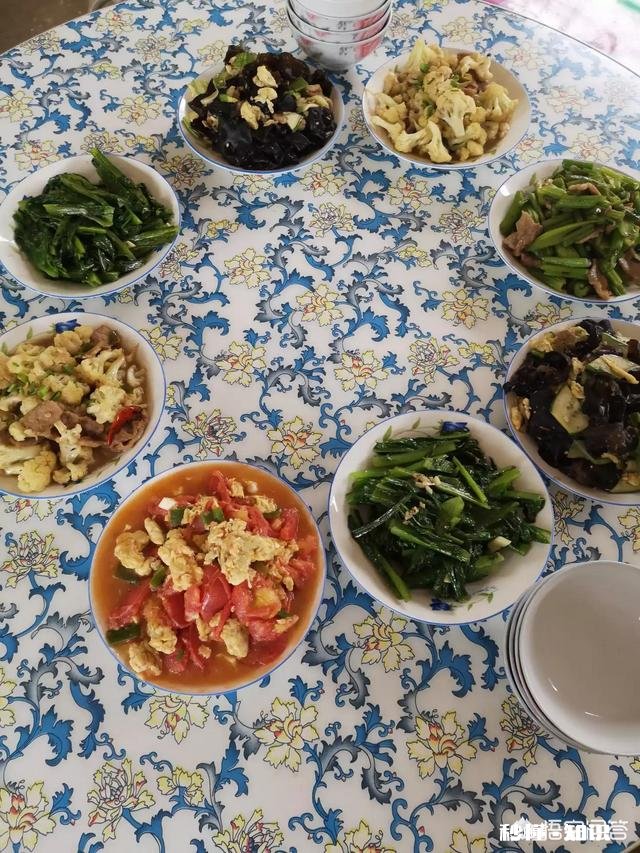 每个人心里都有一道妈妈做的菜，那是独有的味道，任何地方都吃不出那个味，为什么