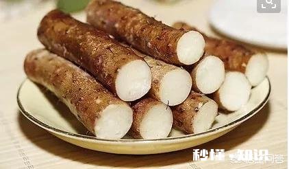 铁棍山药什么季节会长出来