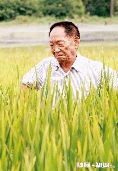 袁隆平长得像农民，那他出生于农民家庭吗出身如何