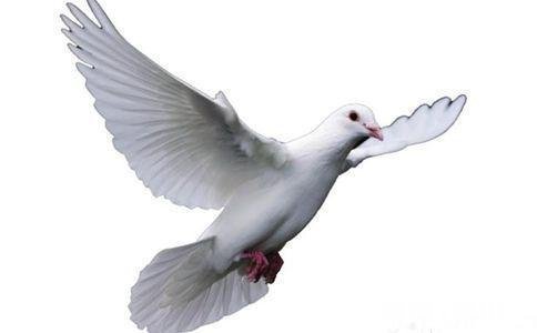 信息是如何创造价值的还是说只有劳动创造价值