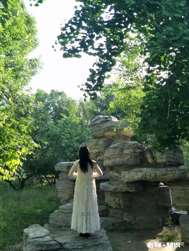 黄色花海穿什么颜色衣服好看