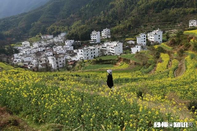 黄色花海穿什么颜色衣服好看