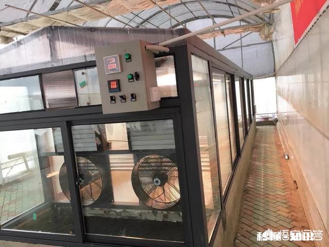 现在好多兰苑都建的有小温室棚，到底有没有必要以后拿到自然环境下能不能种活