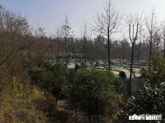 现在好多兰苑都建的有小温室棚，到底有没有必要以后拿到自然环境下能不能种活