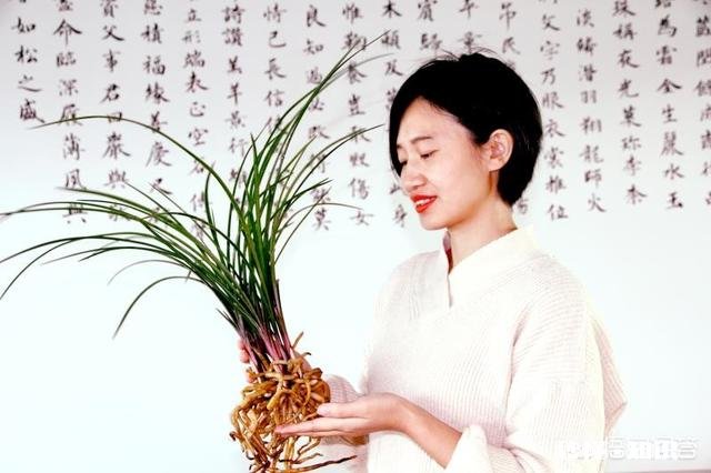 兰花在花期可以晒太阳吗需要注意什么