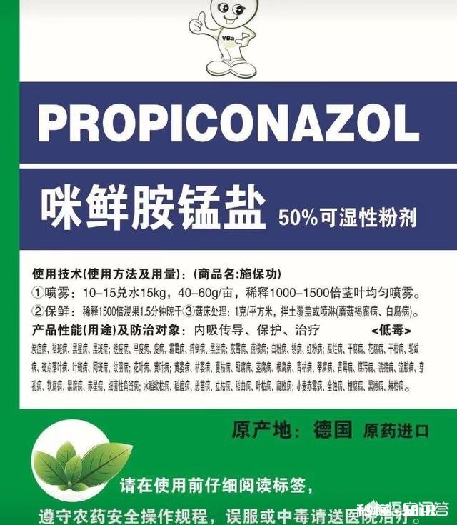 地栽茶花叶子发黄是怎么回事