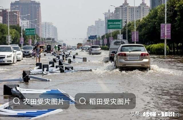 大家来谈谈河南省的水灾的地理成因和环境成因